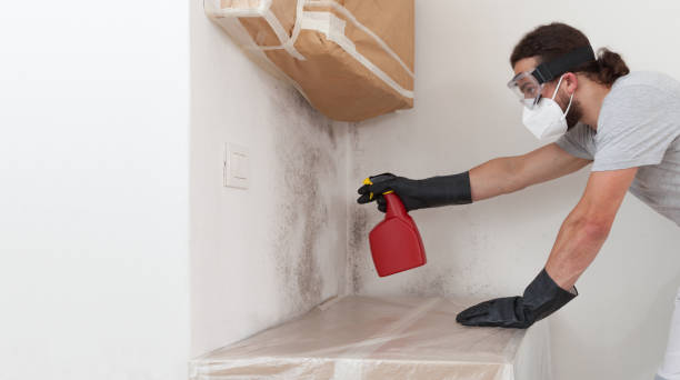 Professional Attic Mold Remediation technician working in Roswell, GA