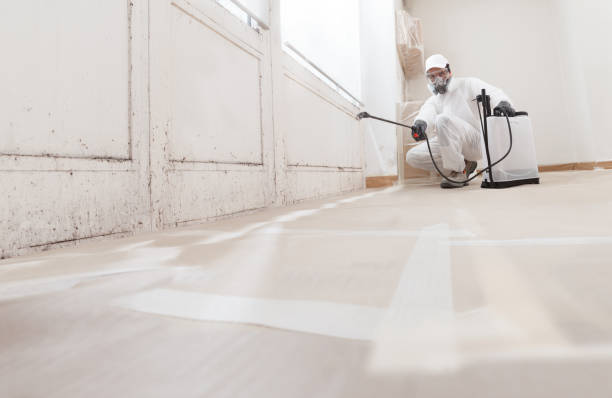 24/7 Emergency Attic Mold Remediation experts in Roswell, GA